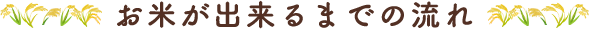お米が出来るまでの流れ
