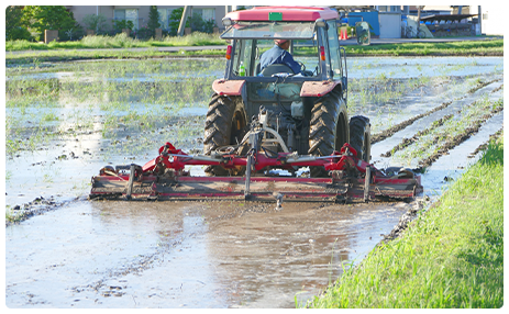 4月中旬 代掻け